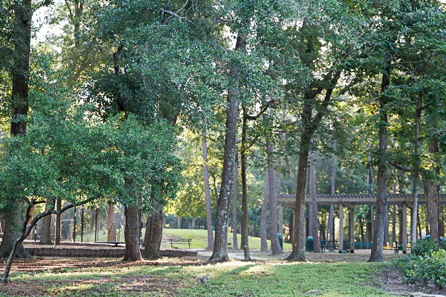 Kingwood park, greenbelt / pergola / playground, Kingwood Houston real estate