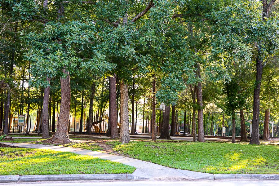 Kingwood park, greenbelt / pergola / playground, Kingwood Houston real estate