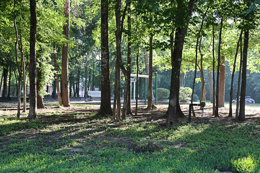 Kingwood park, greenbelt / pergola / playground, Kingwood Houston real estate