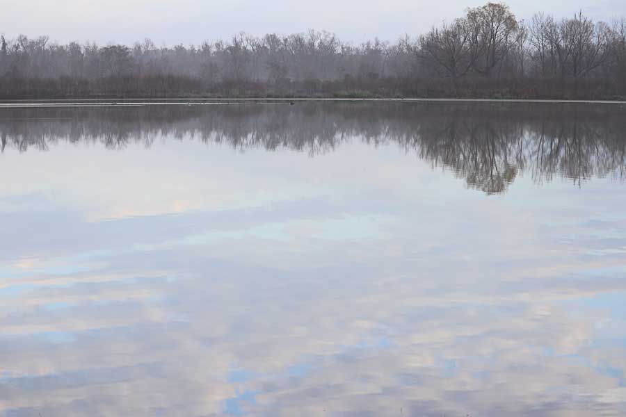 Lake Houston — misty sunrise, Houston TX