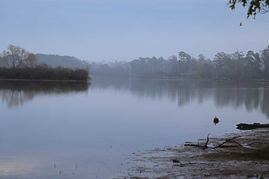 Lake Houston, misty sunrise, Houston TX